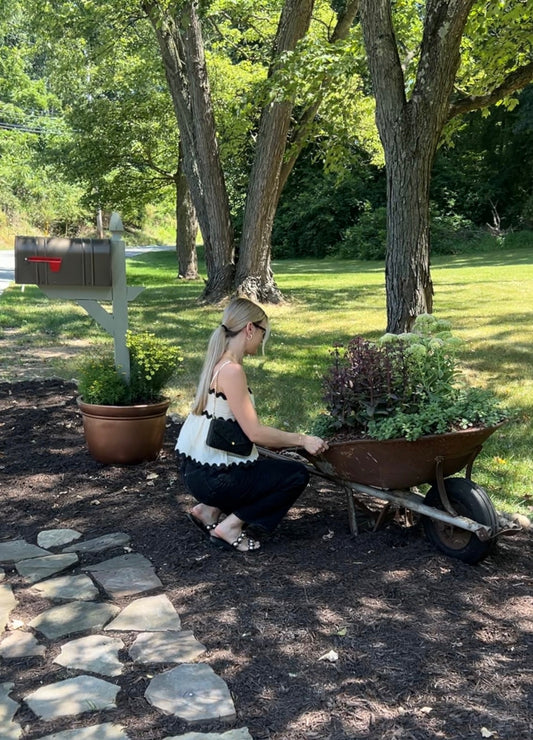 How to Create a Rustic Wheelbarrow Planter That Adds Instant Curb Appeal