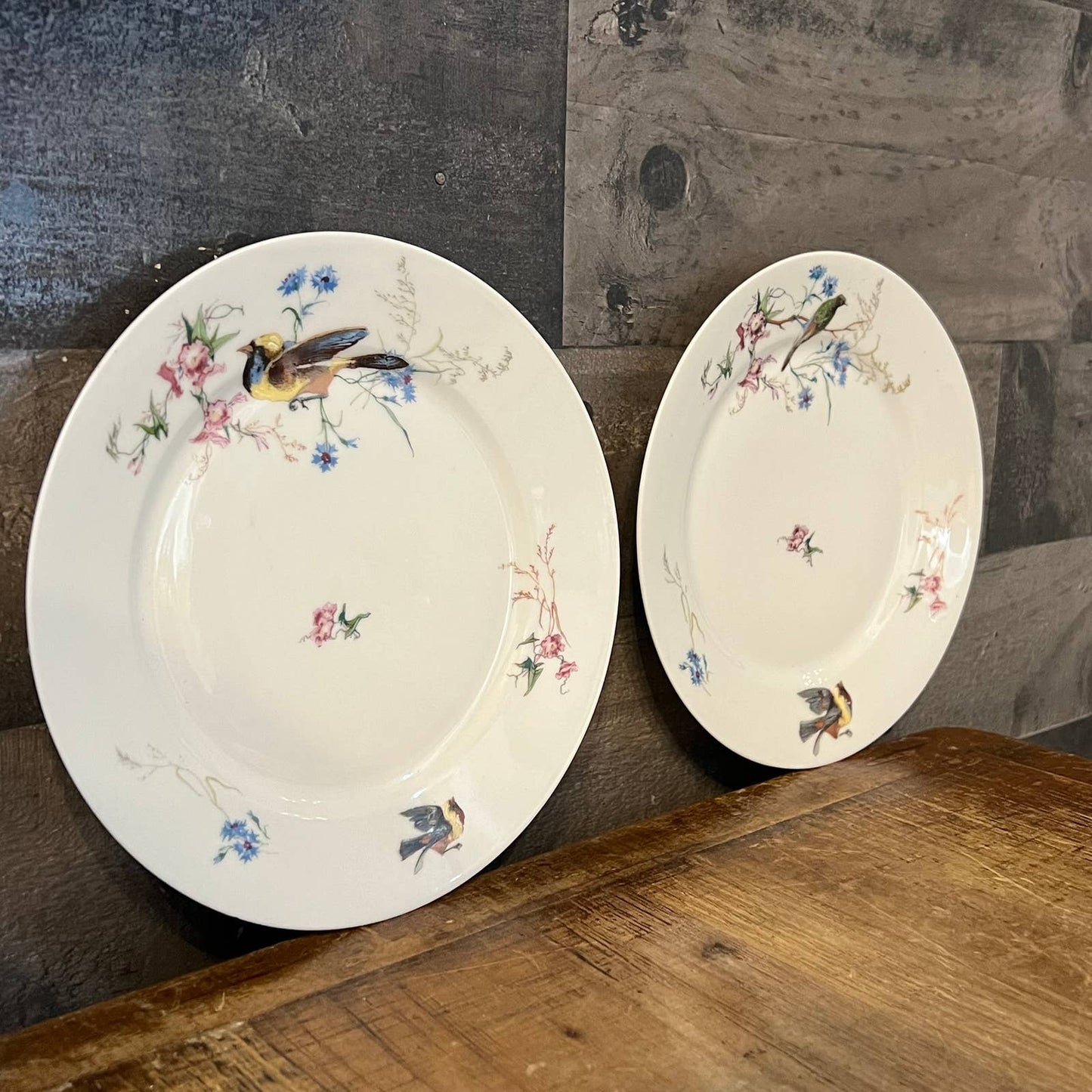 2 vintage Haviland & Co Limoges bird plates