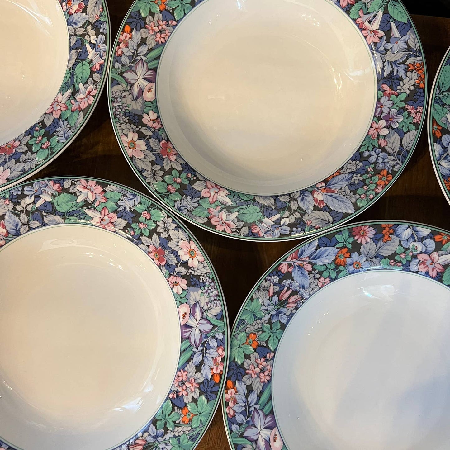 Mikasa Maxima Terrace Garden CAK44 large rim soup bowls - set of 6