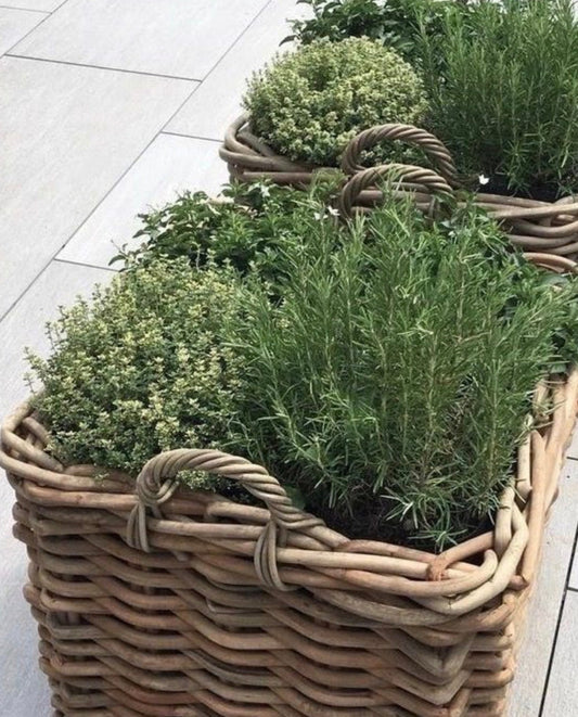 Vintage-Inspired Spring Porch Decor: Create a Charming Welcome at The Antique Yard