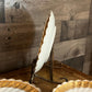 Vintage Scallop Rim White Swirl Coupe Plates with Gold Rim Design - Set of 5