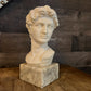 Vintage David Michelangelo Bust Greek Roman Sculpture on Marble Pedestal by G. Carusi