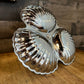 Vintage Irvinware Handled Scallop Rim Shell Tid Bit Tray - Condiment Server - Nut Dish - Candy Dish
