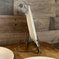 Sheffield Bone White China Small Plates - Set of 4