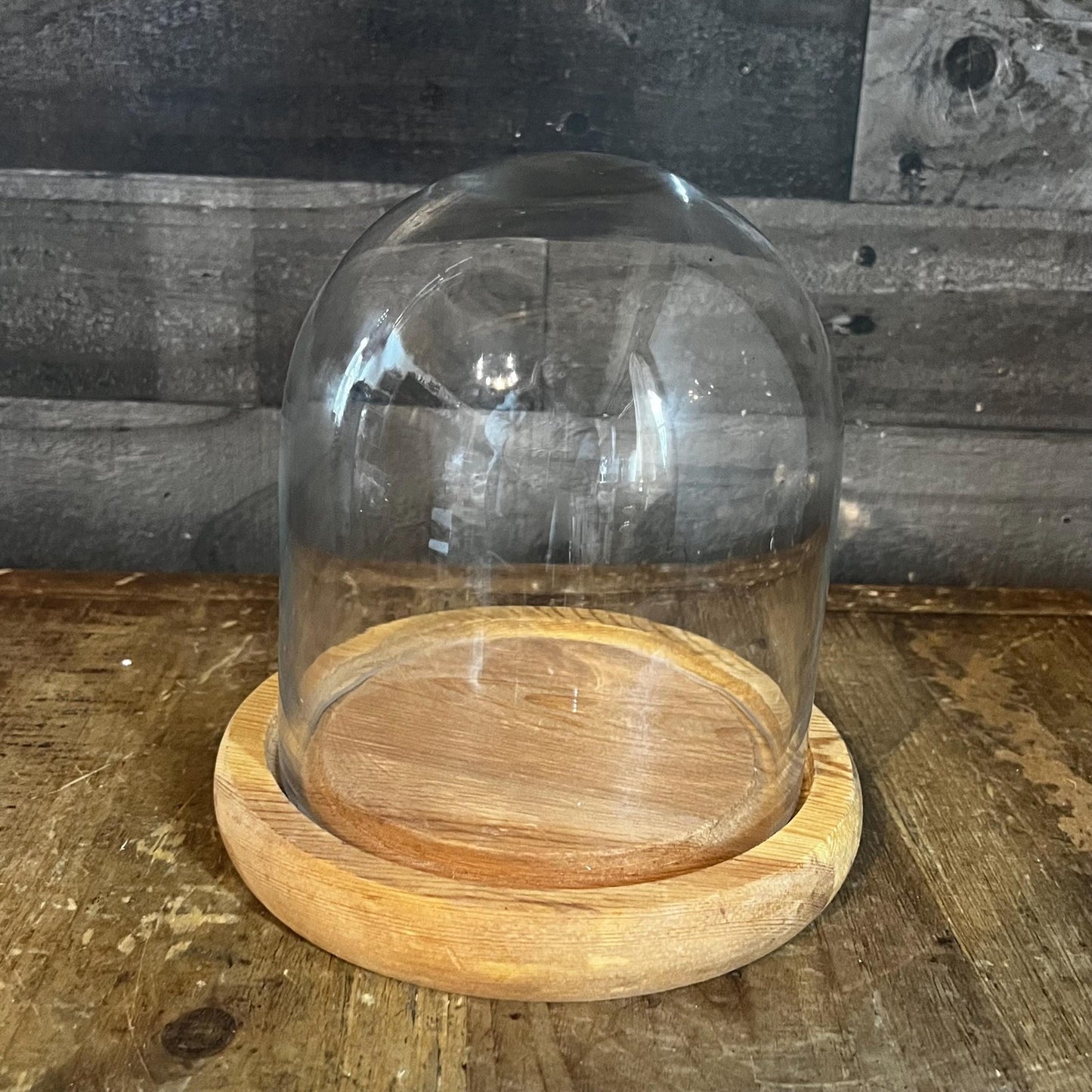 Clear Glass Dome Display on Round Wooden Base