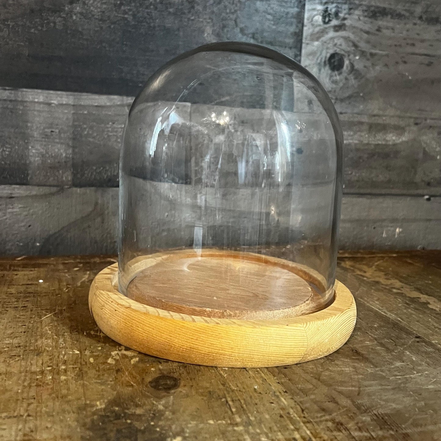 Clear Glass Dome Display on Round Wooden Base