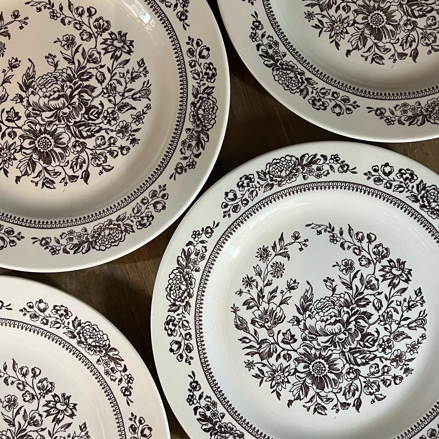 Royal USA Sussex Cavalier Ironstone Brown and White Floral Dinner Plates - Set of 4