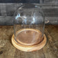 Clear Glass Dome Display on Round Wooden Base