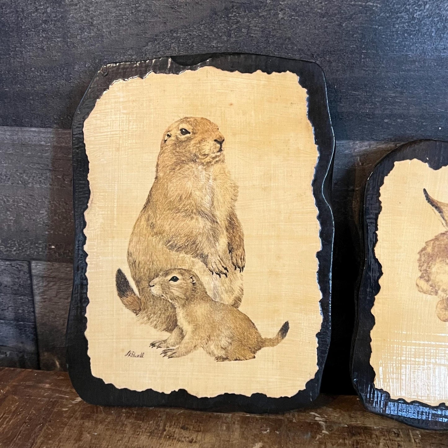 Vintage Linda K Powell Mom and Baby Wildlife Portraits - Set of 3 - Deer, Prairie Dog, Goat