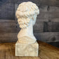 Vintage David Michelangelo Bust Greek Roman Sculpture on Marble Pedestal by G. Carusi