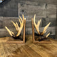 Vintage Deer Buck Antler Bookends - Pair
