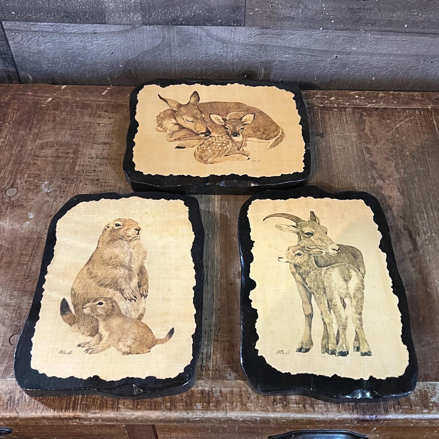 Vintage Linda K Powell Mom and Baby Wildlife Portraits - Set of 3 - Deer, Prairie Dog, Goat