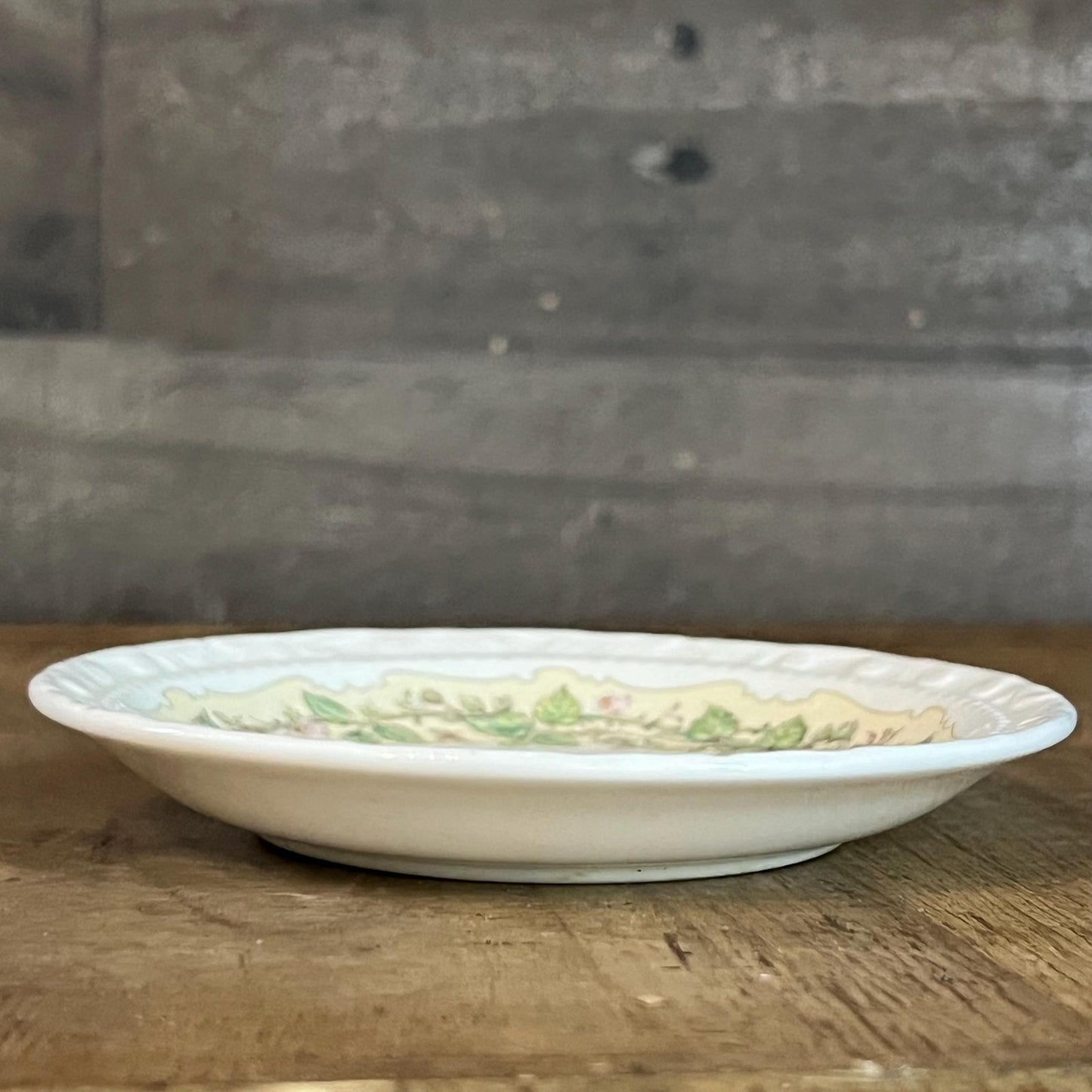 Vintage Royal Daulton Brambly Hedge Floral Spring Small Plate