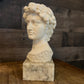 Vintage David Michelangelo Bust Greek Roman Sculpture on Marble Pedestal by G. Carusi