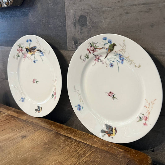 2 vintage Haviland & Co Limoges bird plates