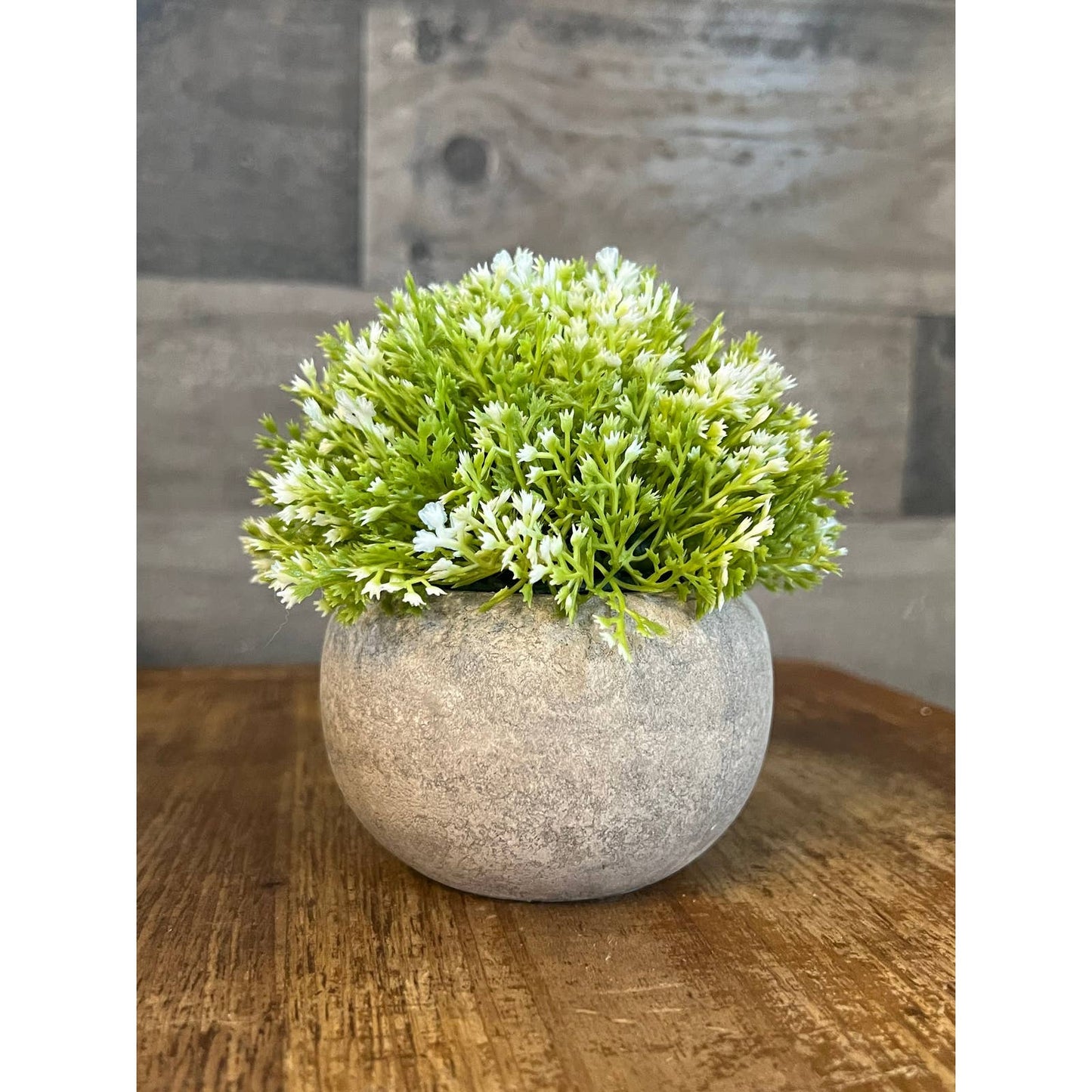 Petite artificial topiary ball plant in cement planter