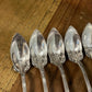 1847 Rogers Bros AI Silverplated Fruit Spoons - Set of 12