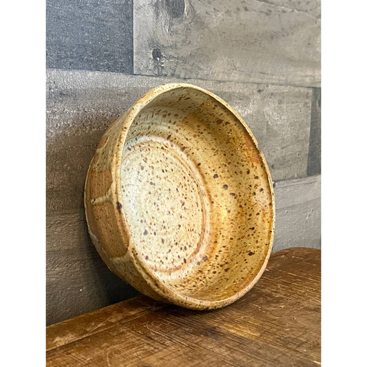 Neutral tone beige speckled glaze pottery bowl