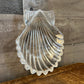 Waterford crystal nautical seashell bowl